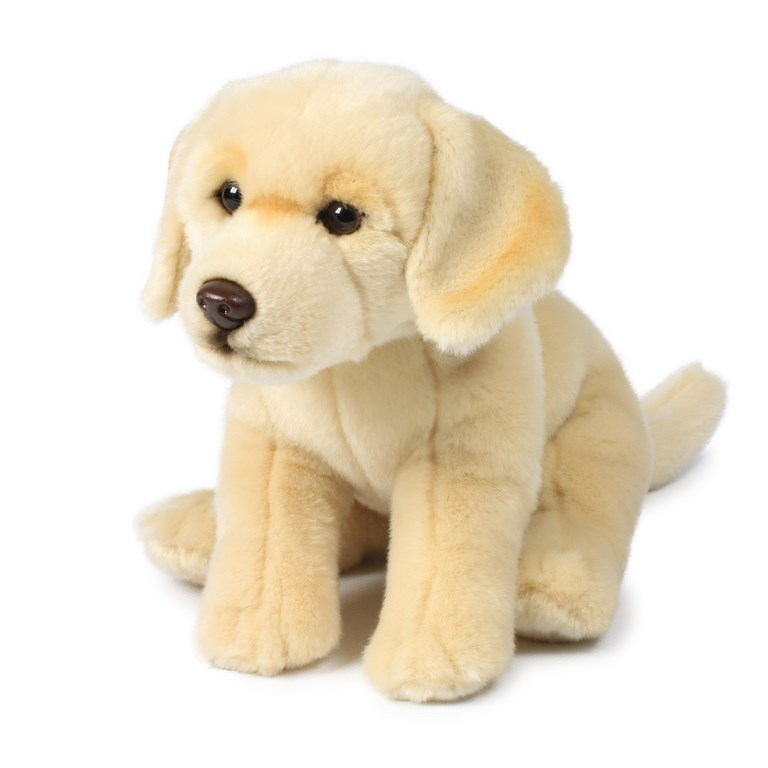 peluche labrador wwf rennes